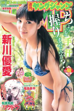 与狼共舞电视剧